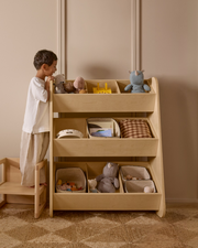 Toy Organizer
