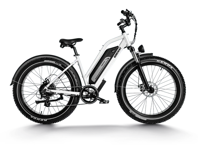 Himiway D3 ST (Cruiser ST) | All Terrain Step Thru Electric Bike