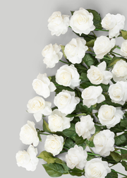 Case of 48 Stems - Real Touch Roses in Ivory - 17"