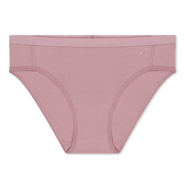 Women's Ridge Merino Wool Hipster Brief Underwear