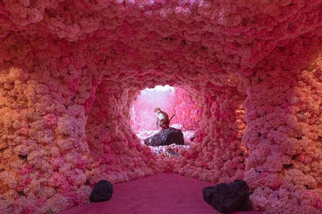 Mercer Labs Museum of Art and Technology Admission Ticket