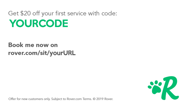 Sitter Promo Cards (250 cards)