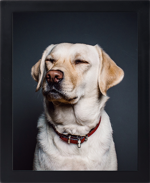 Classic wall - black (regular mat)