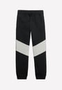 Colorblock Pieced Fleece Jogger