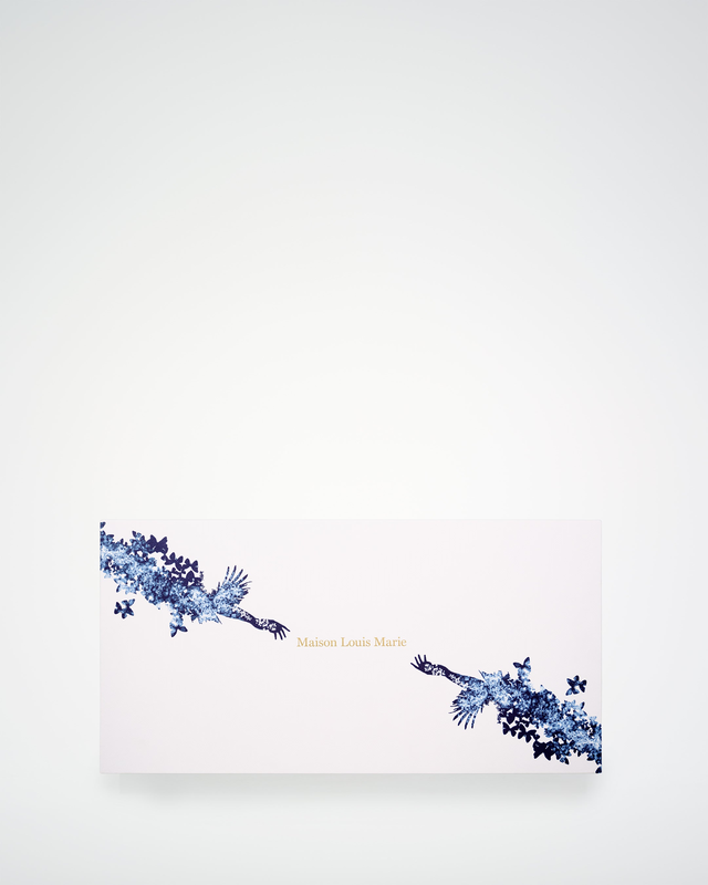 12 Days of Discovery Advent Calendar