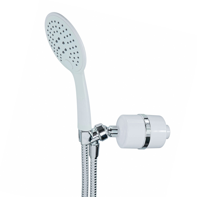 Handheld Shower Filter