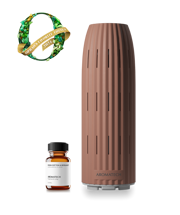 Oprah’s Favorite Things 2024 Home Scenting Gift Set