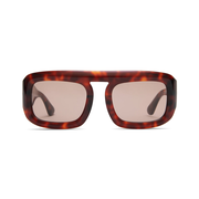 Aries in Red Tortoise