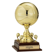 Metal Basketball Award w/Trim