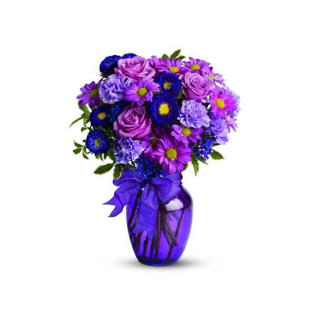 Everlasting Lavender