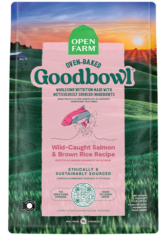 Goodbowl™ Wild-Caught Salmon & Brown Rice Dog Food Recipe