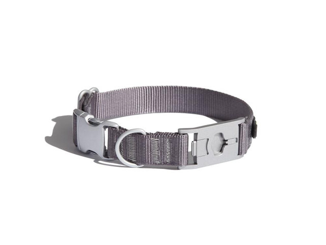 Go Explore 2.0 Dog Collar