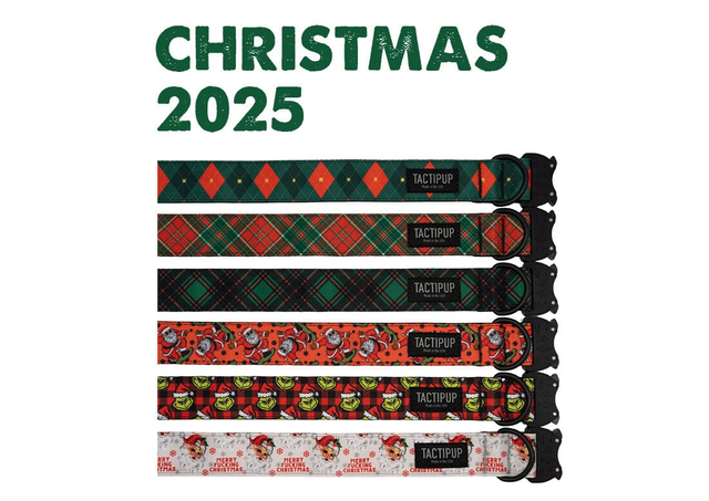 Limited Edition: 1.5" Christmas 2025